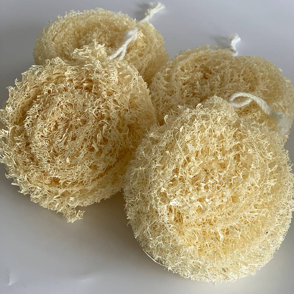 VIE - Wholesale Loofah - Natural Organic Gentle Loofah10