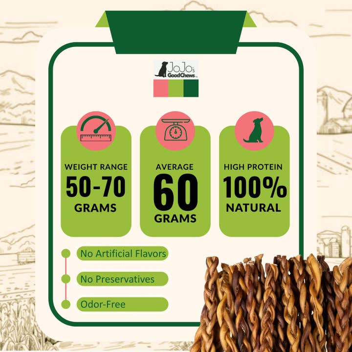 Jojo Modern Pets - Wholesale Pet Treats - Dog - 12” Standard Braided Bully Sticks | All-Natural Dog Treats 4