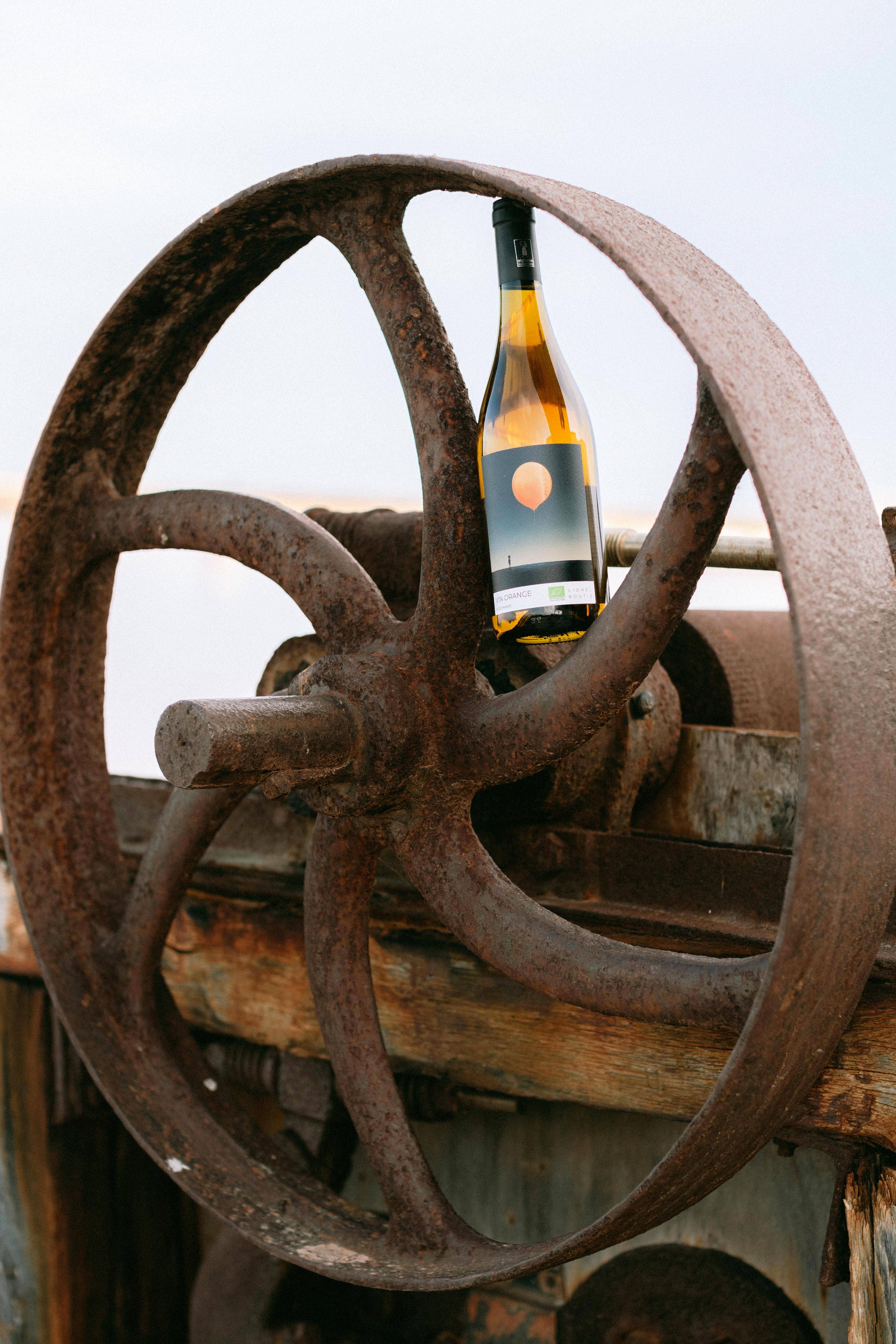 Domaine Ricardelle de Lautrec - Wholesale White Wine - Organic & Biodynamic Wine - Orange Lune Wine 20242