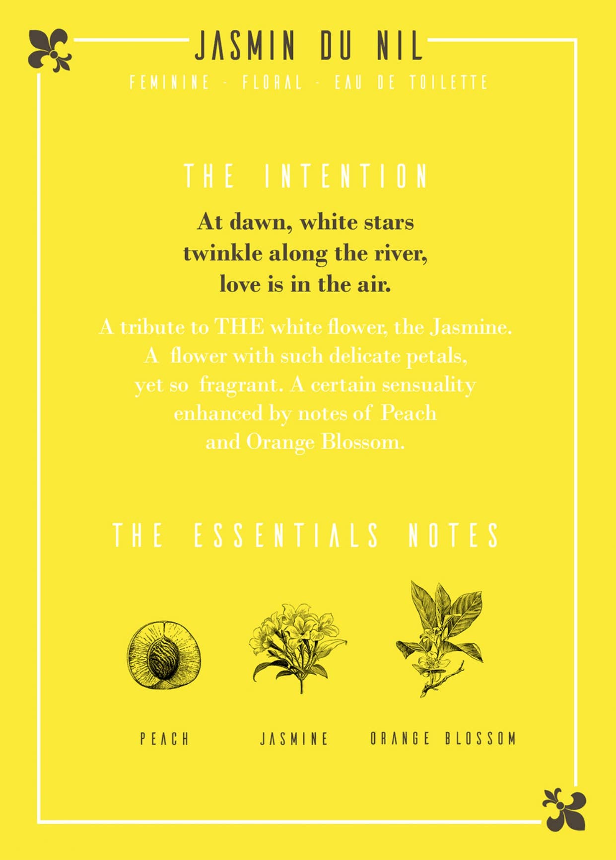 Les Parfums D'Uzège – wholesale Perfume/eau de toilette – Nile Jasmine Eau de Toilette - 50ml3