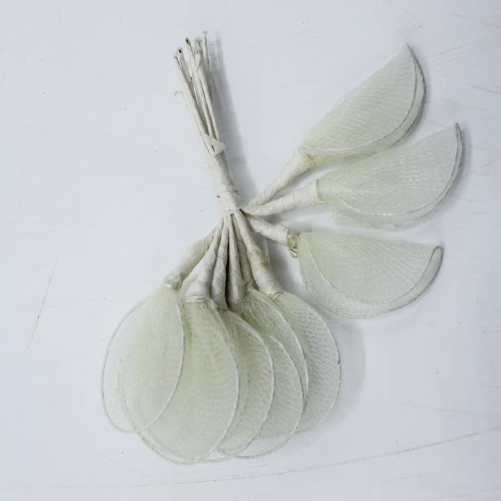 Fioretto Renato S.r.l. - Wholesale Confetti - Bag of 144 Petalo Confetti Box cm.42