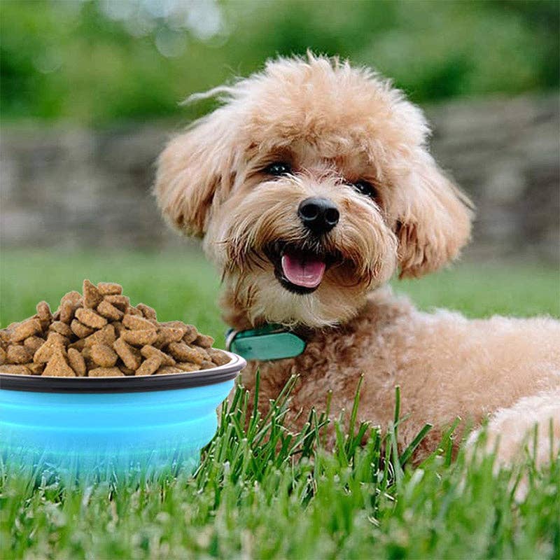 Pet Wiz - Wholesale Pet Bowl - Cat/Dog - Collapsible Silicone Bowl for Dogs - 350ml5