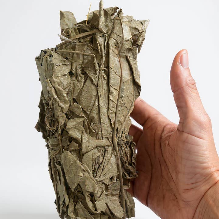 ELITEA - Wholesale Health/Detox Tea - Vitex Madiensis0