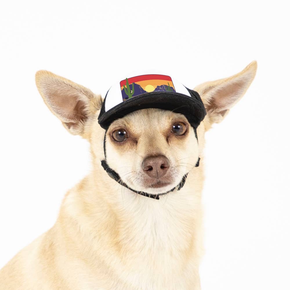 PupLid - Wholesale Pet Hat - Dog - Desert Owl Standard or Namedrop | Trucker Hat for Dogs27