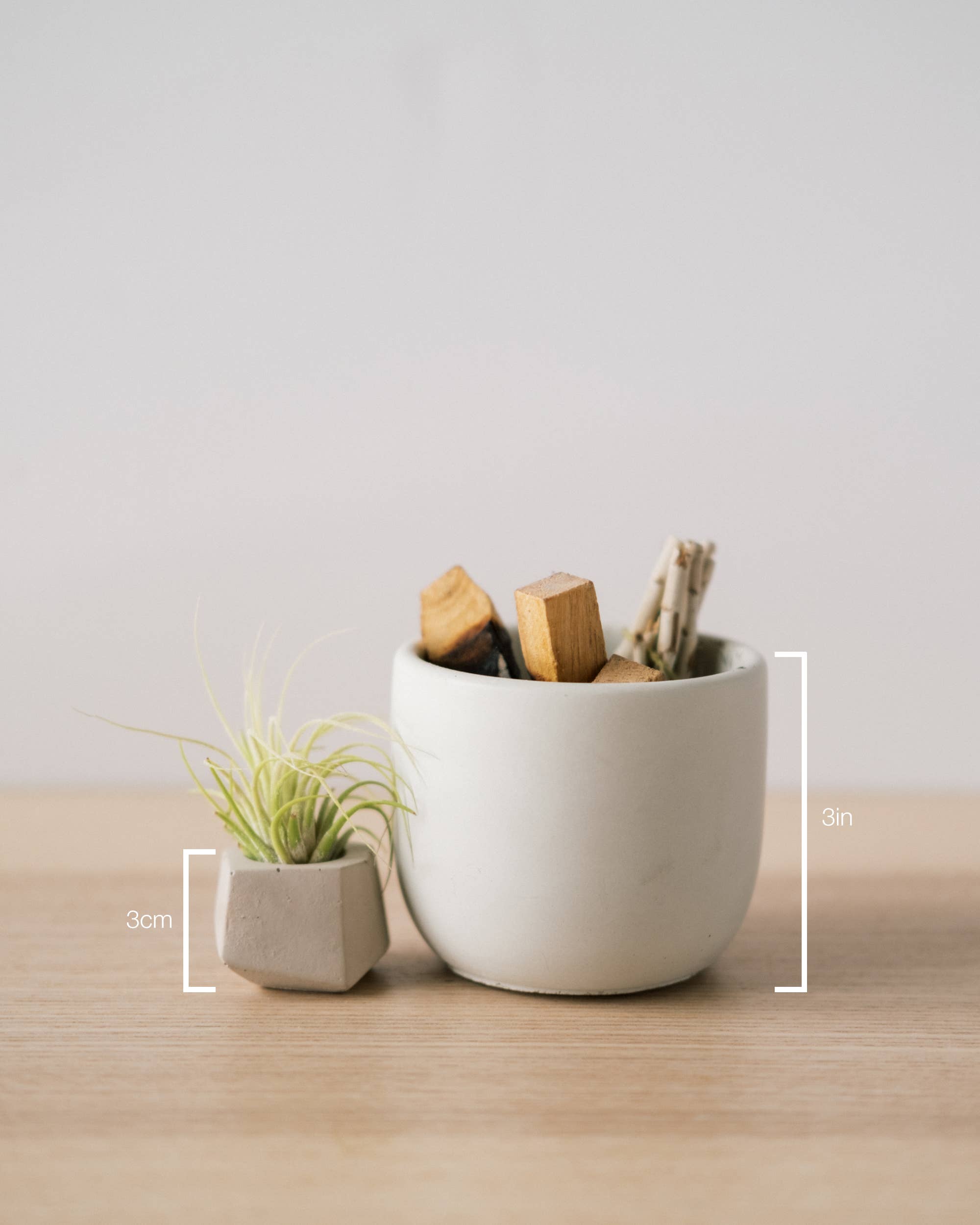 Concrete Days - Wholesale Plant Pot - Tiny Geo Airplant Holder3