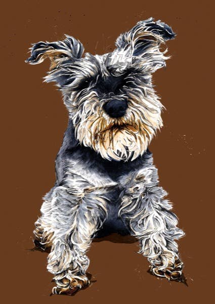 Some Ink Nice - Vendita all'ingrosso Stampa artistica - Stampa artistica Schnauzer * Stampa artistica A4 * Dog Art * Schnauzer Art1