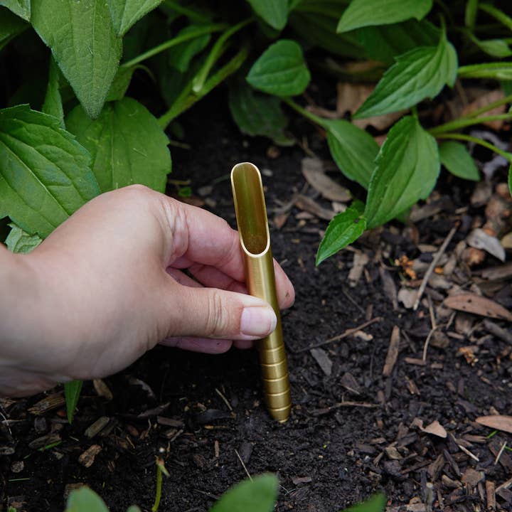 Modern Sprout - Wholesale Plant Seeds - Seed Library