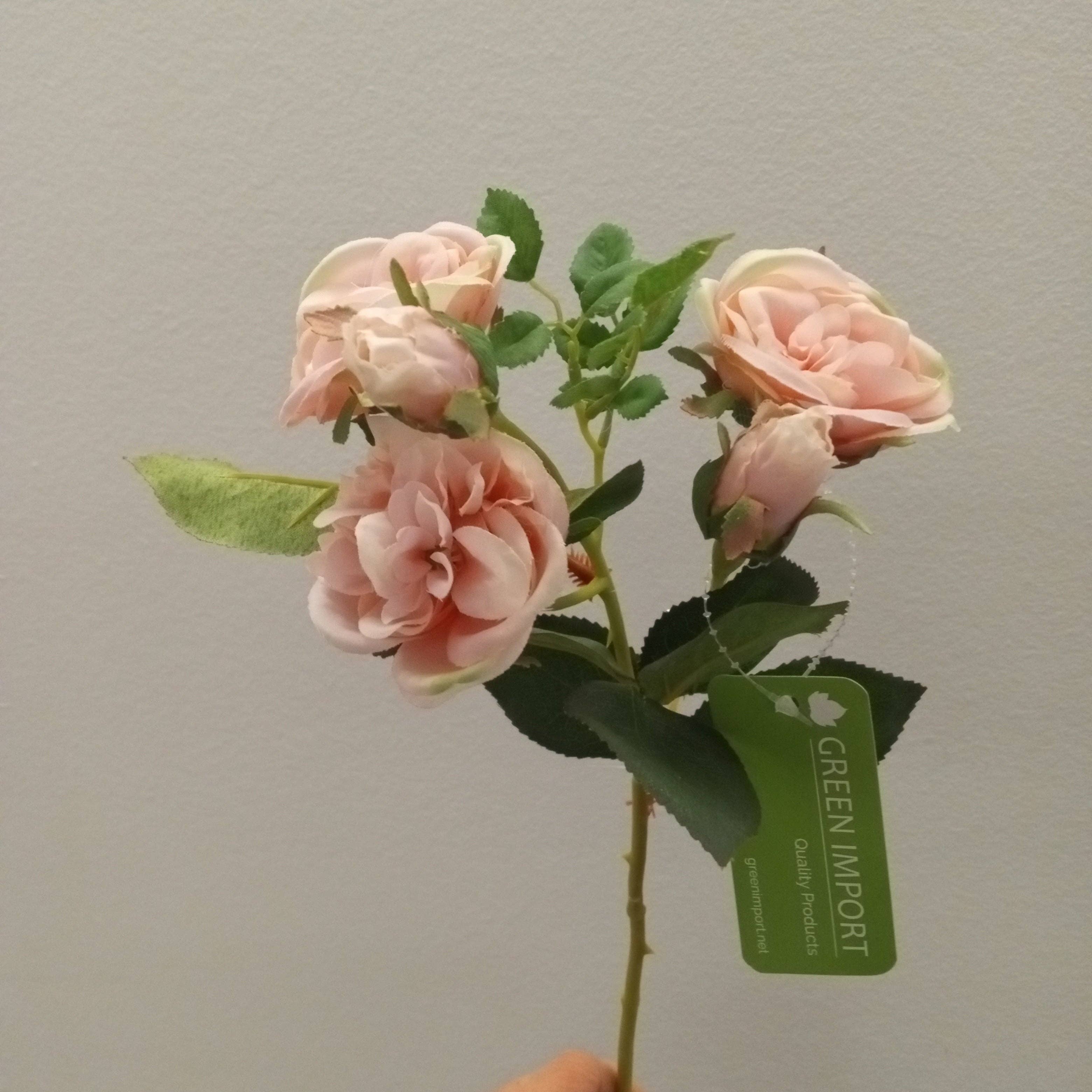 Green Import Limited - Wholesale Artificial Flowers - FL13184 MINI ENGLISH ROSE SPRAYx3F2B, 19.5"2