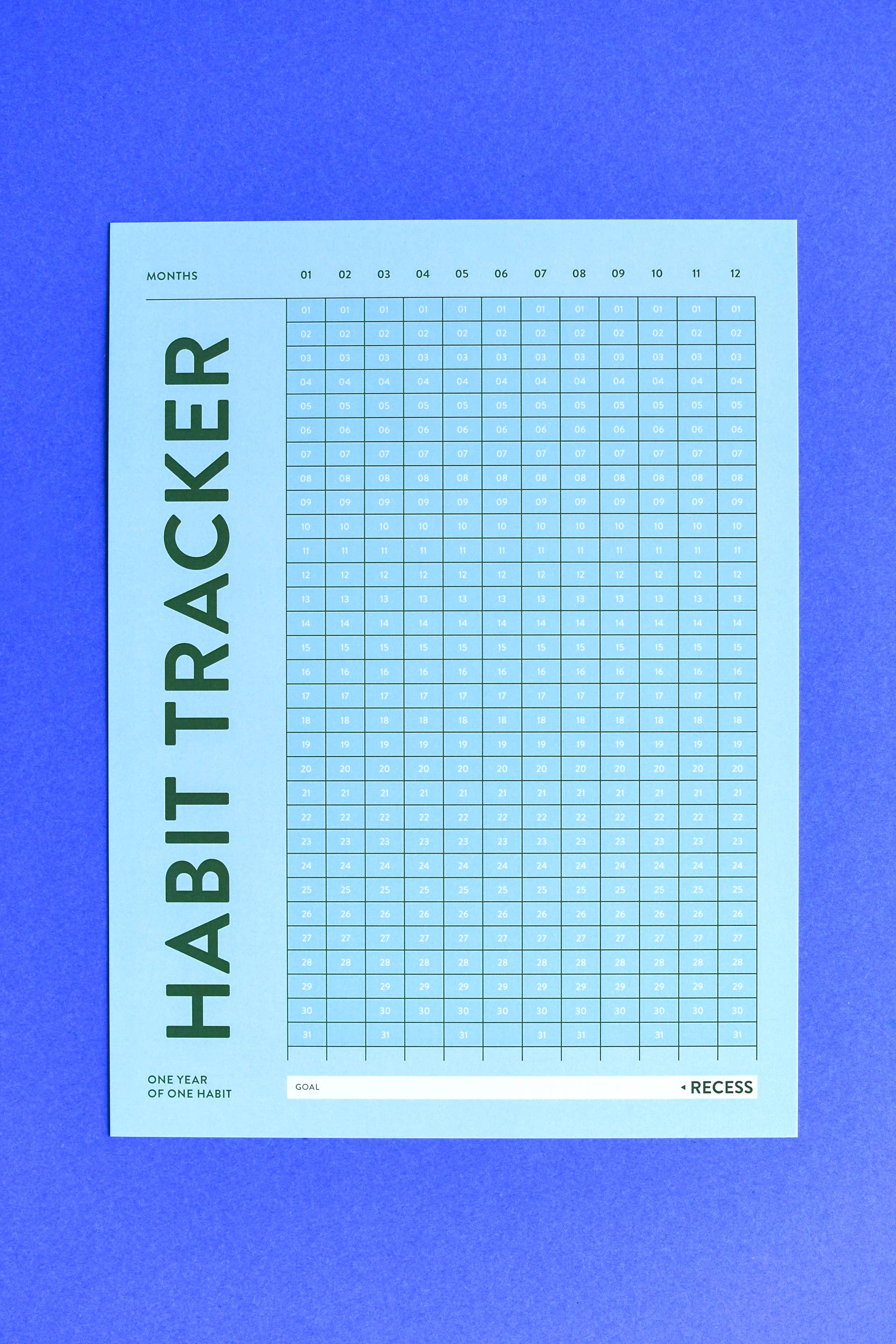 Recess Shop - Wholesale Planner - Habit Tracker Poster : Year