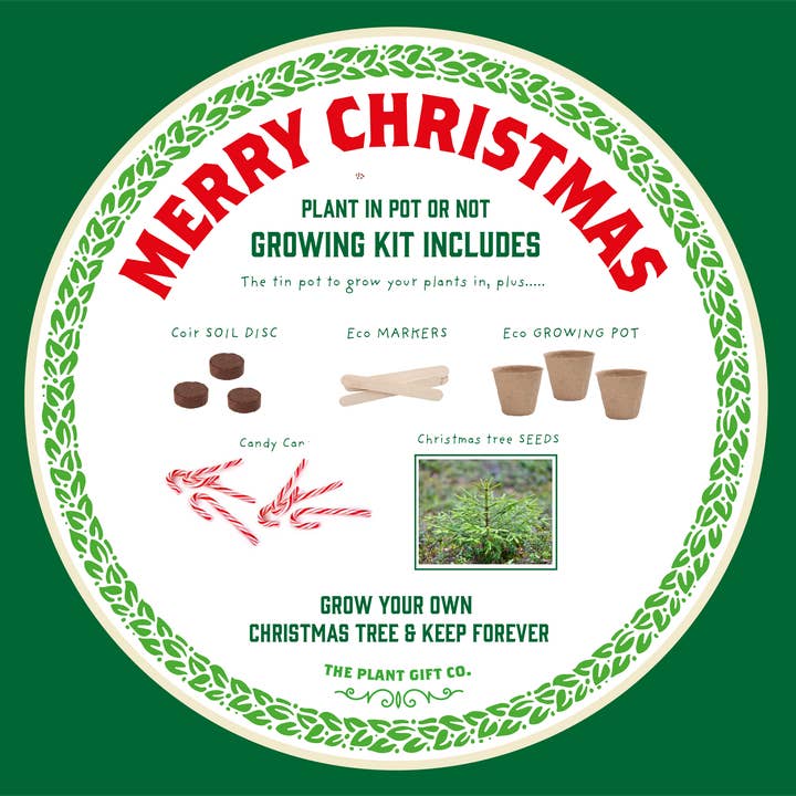 The Plant Gift Co. – wholesale Christmas decoration – Merry Christmas, Grow Your Own Xmas Tree, plus Candy Canes