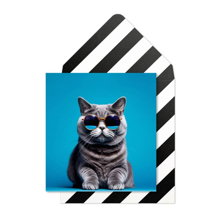 Tache - Wholesale Everyday Greeting Card - British Short Hair Cat1