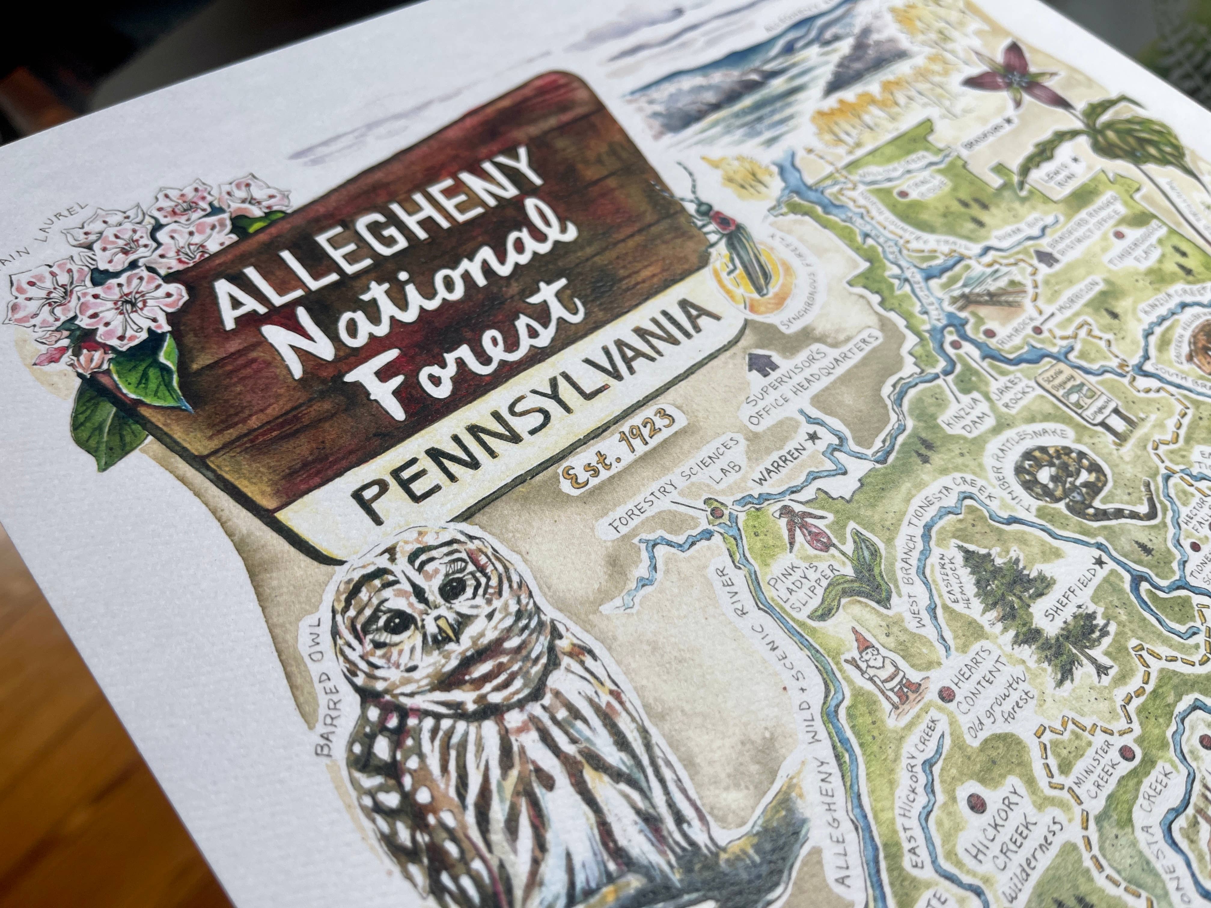 Rosalie Haizlett Illustration – wholesale Map – Allegheny National Forest Illustrated Map6