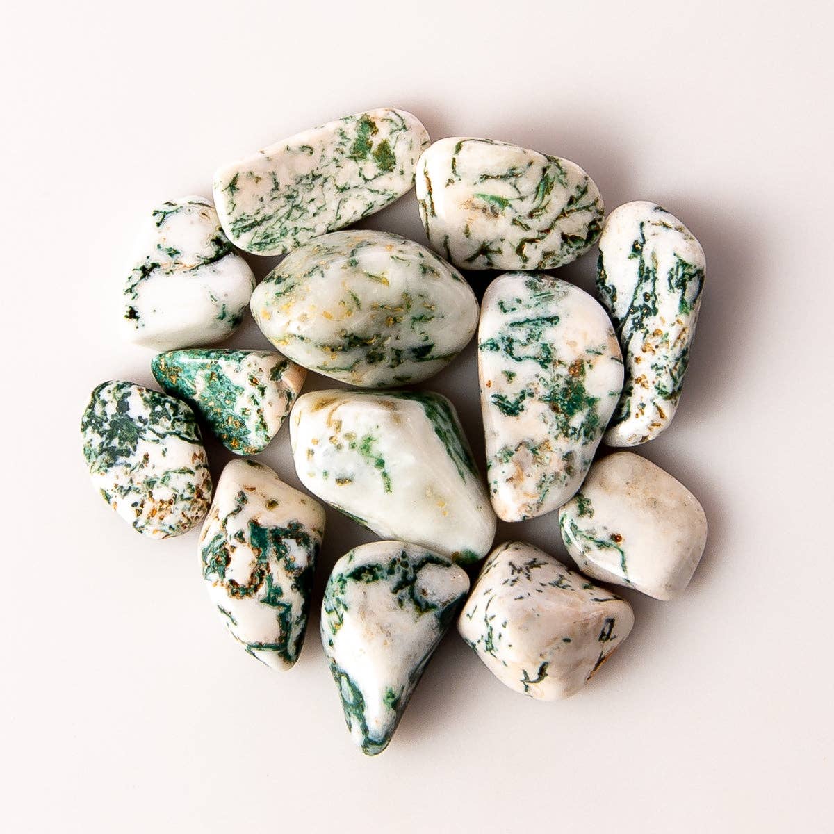 Tree of Life Gems - Wholesale Spiritual Stone/Crystal - Small Tumbled Tree Agate0