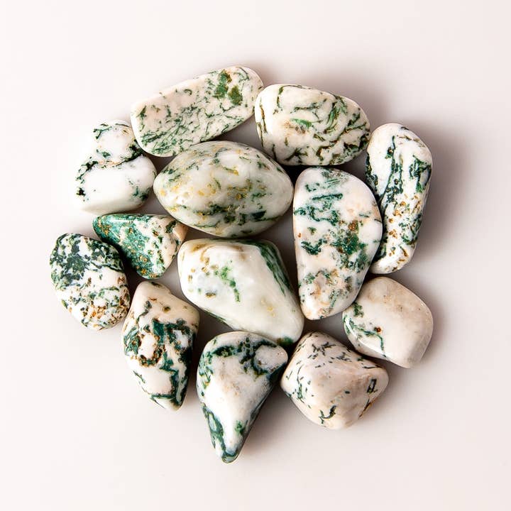 Tree of Life Gems - Wholesale Spiritual Stone/Crystal - Small Tumbled Tree Agate