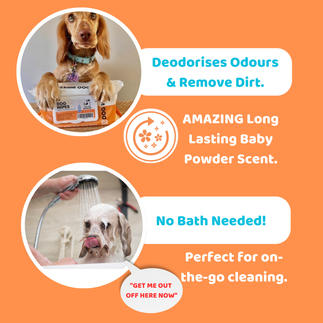 OurPetsLife - Wholesale Pet grooming aid – Dog - Scented Dog Wipes3