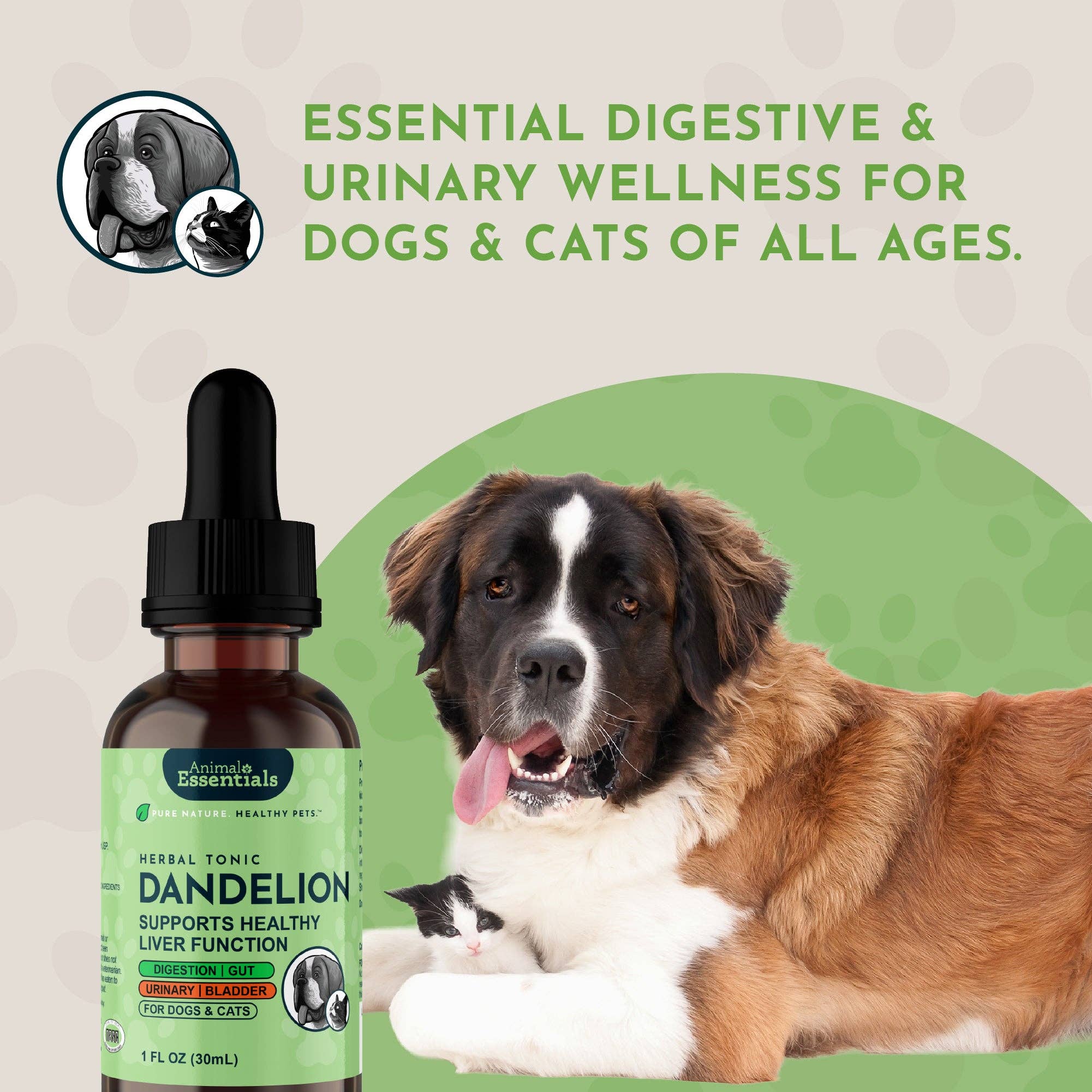 Animal Essentials - Wholesale Pet Supplement - Cat/Dog - Dandelion Single Herb Tonic | Supports Healthy Liver Function7
