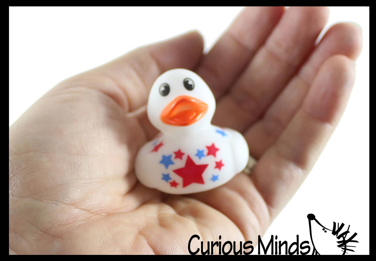 Curious Minds Toys - Wholesale Toy Set - Kids - 1 Small 1.5" Assorted Rubber Ducks - Rubber Duckies - Cute N3
