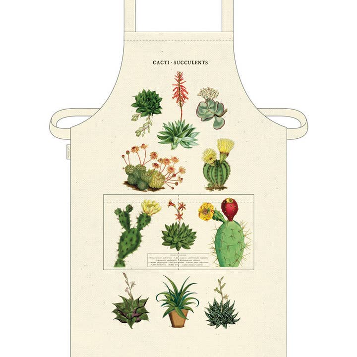 Bobangles - Wholesale Apron - Cavallini Apron - Cacti Succulents0