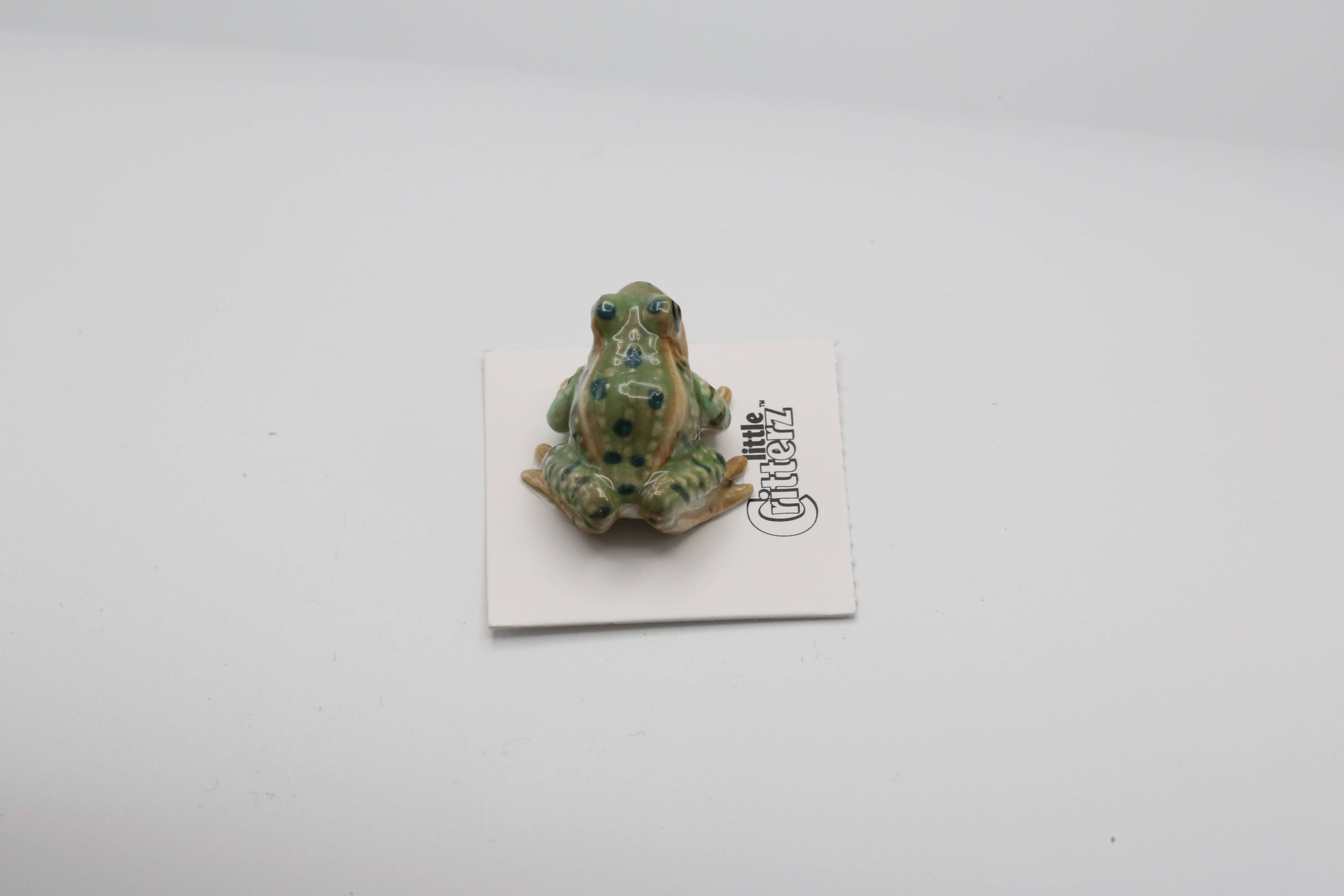 Little Critterz – Estatueta decorativa por atacado – Miniatura Rana Leopard1