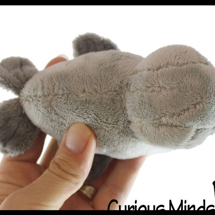 Curious Minds Toys - Vente Peluche – enfant et bébé - Peluche mignonne de phoque gris du port - animal en peluche adorable2