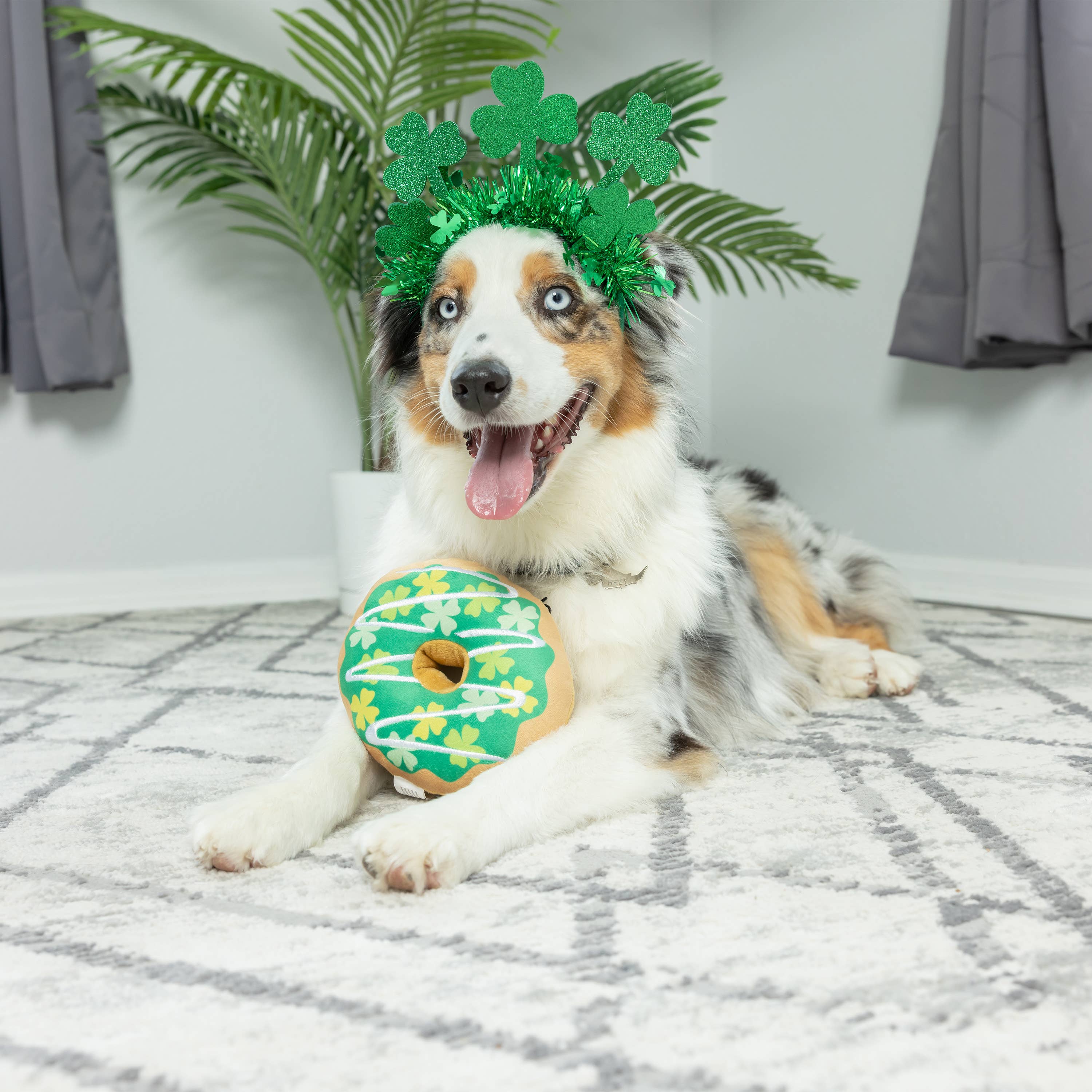 Huxley & Kent - Wholesale Pet Plush Toy - Dog - Shamrock Donut Dog Toy1
