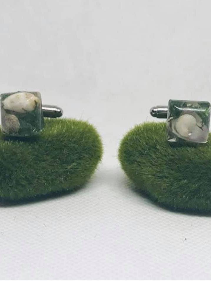 Juego de 2 gemelos de conchas marinas para venta al por mayor de Vivian Treasury