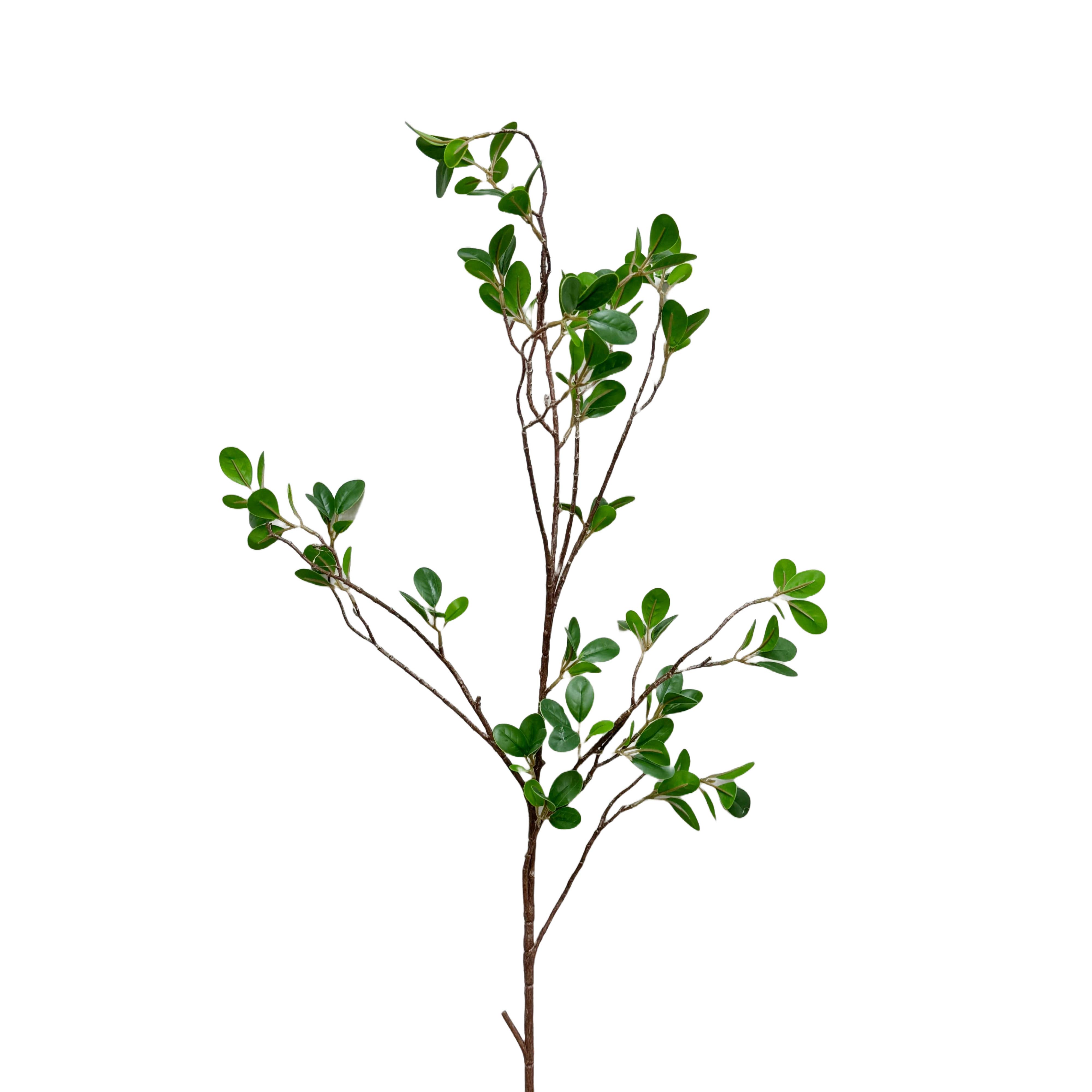 Angel Isabella – Großhandel Kunstpflanzen – 42 Zoll hochwertige künstliche Aglaia Odorata Zweige mit realistischem Griff2