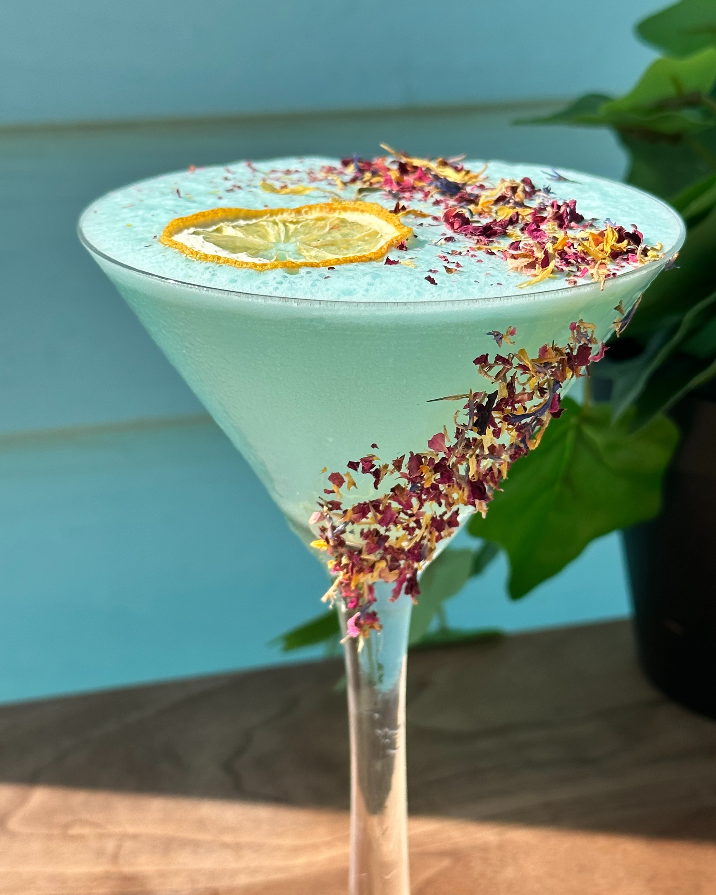 PRESERVED PEEL - Wholesale Dried/Dehydrated Fruit - Save 10% ⎮ 4 PACK Dehydrated Fruits⎮ LIME - LEMON - ORANGE - GRAPEFRUIT⎮ PREMIUM COCKTAIL GARNISHES3