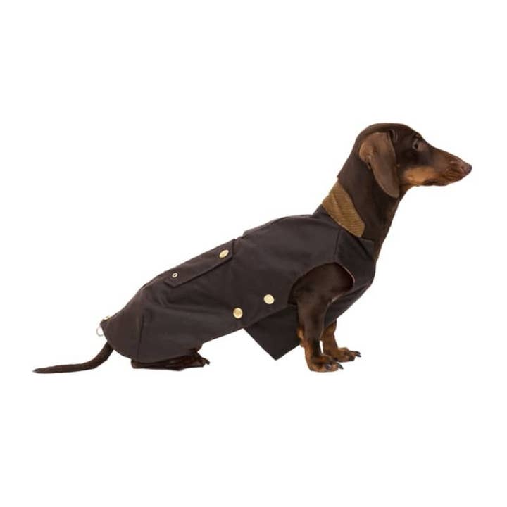 tQel dog trends - Wholesale Pet Coat - Dog - Barbour type Brown dog coat3