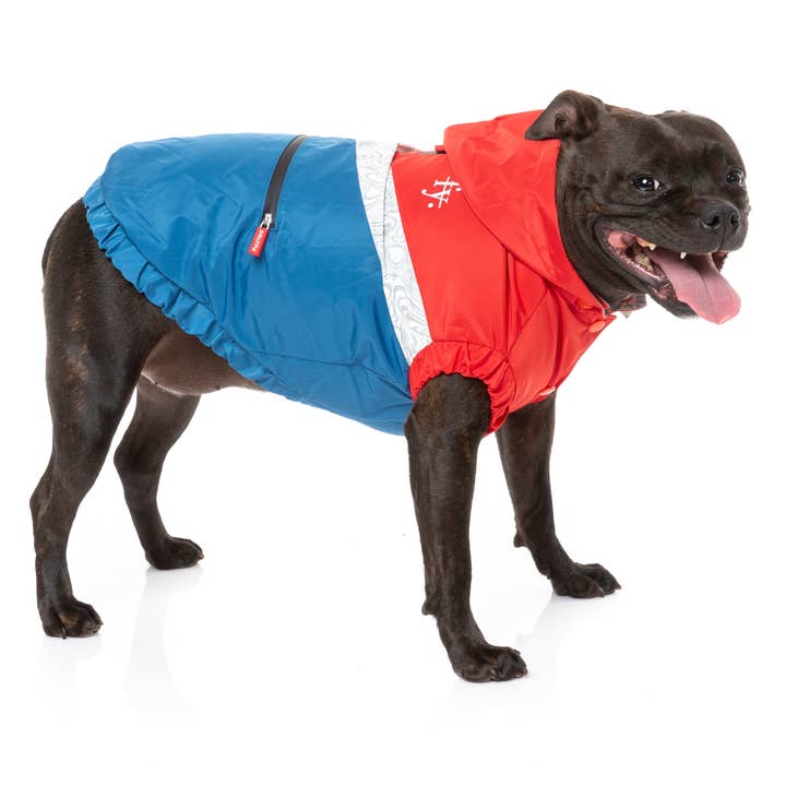 In Vogue Pets – wholesale Pet raincoat – Dog – The Seattle Raincoat - Red & Blue - SPECIAL OFFER!5