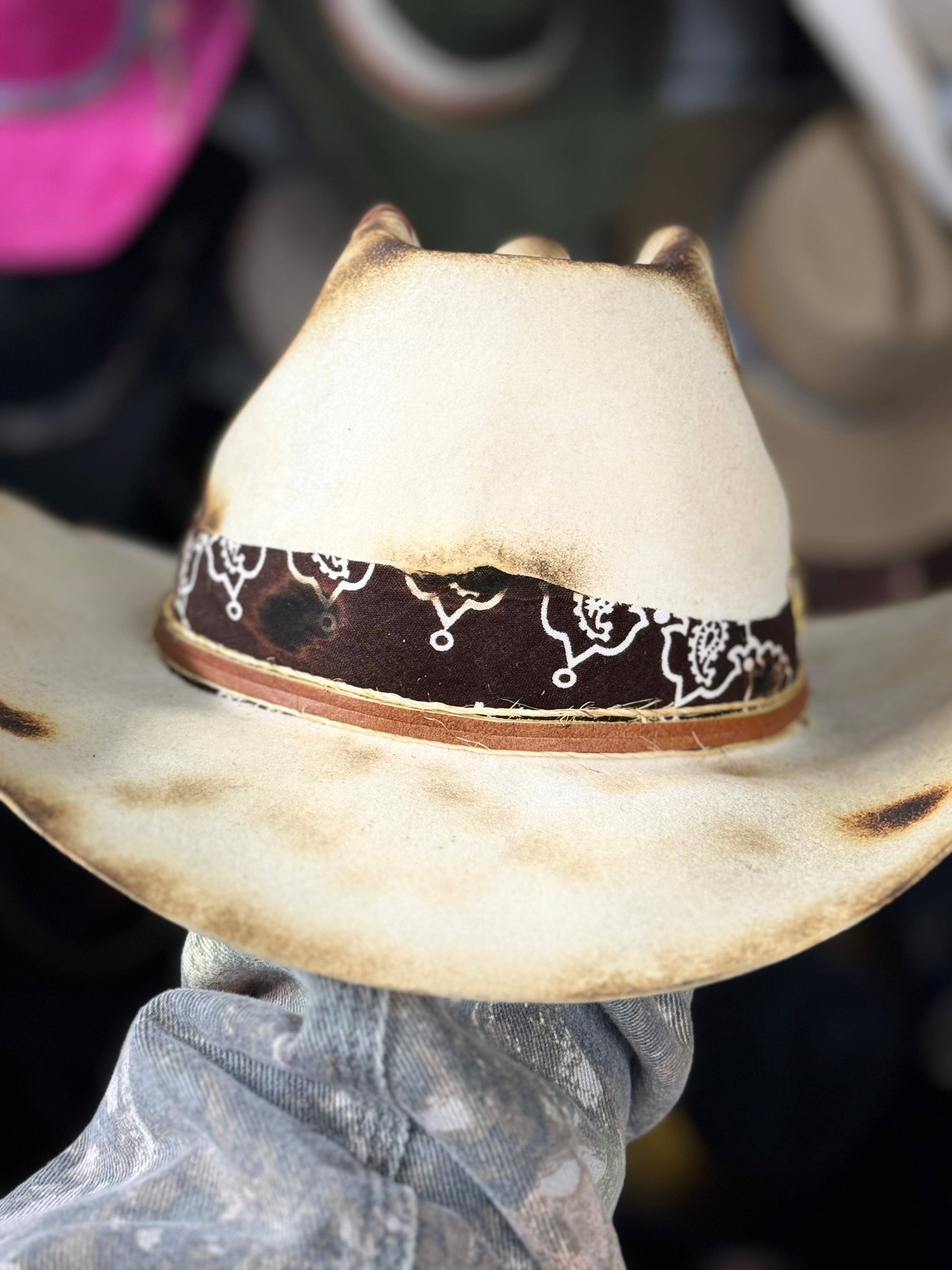 Alberly USA - Wholesale Cowboy Hat - Unisex - old west in the desert2