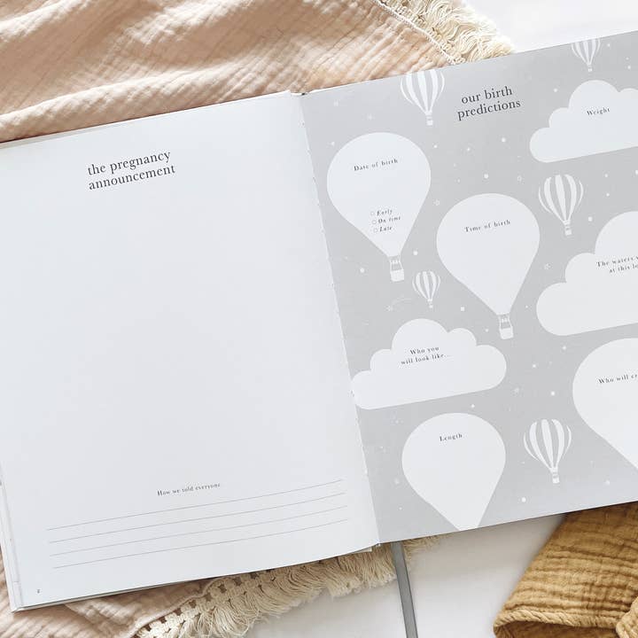 Blush And Gold - Wholesale Diary – Maternity - Pregnancy Journal (Grey) expectant mum + parents to be gift10
