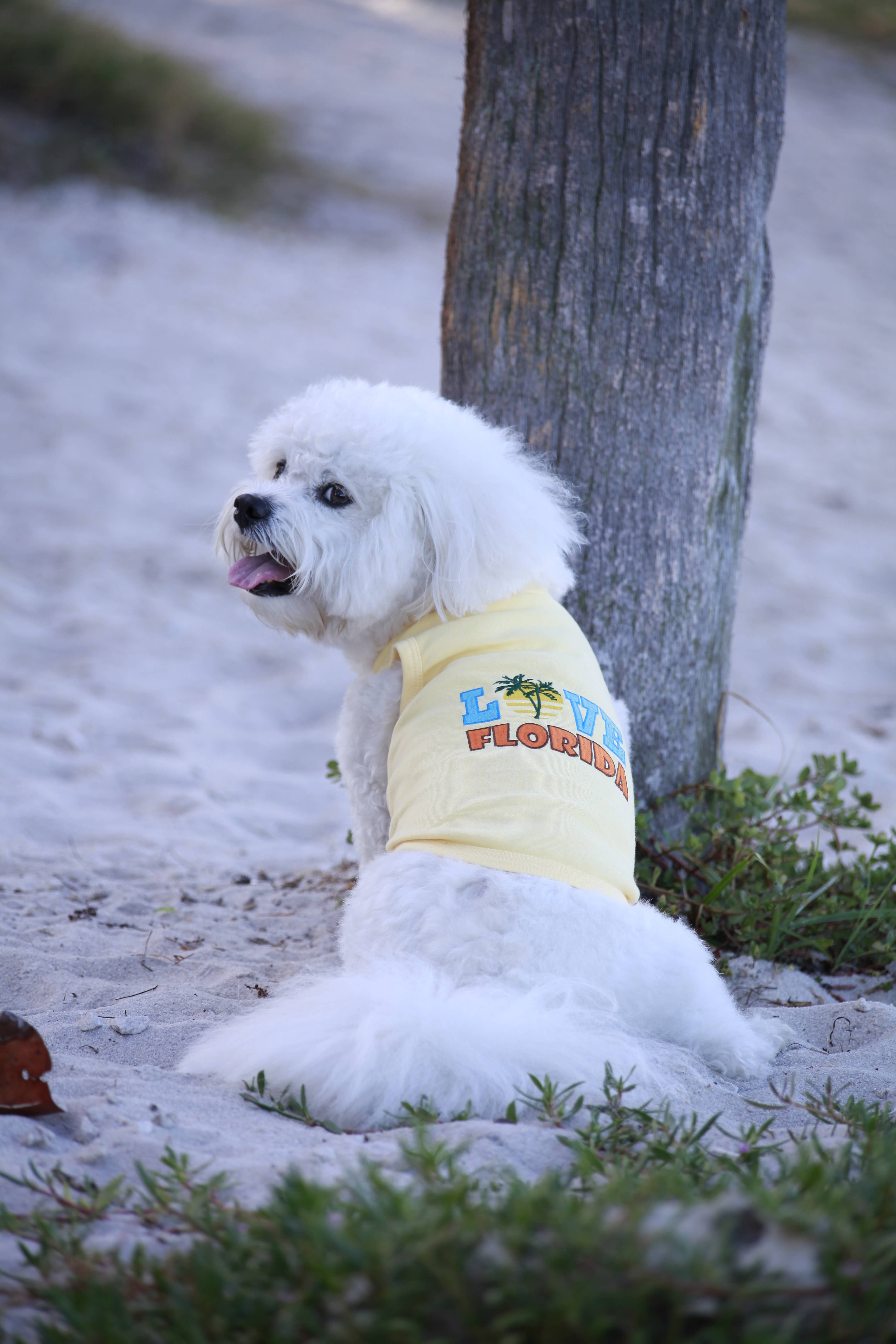 Parisian Pet® - Wholesale Pet Shirt - Dog - Love Florida Dog T-Shirt Adorable Pet Tee for Florida Lovers2