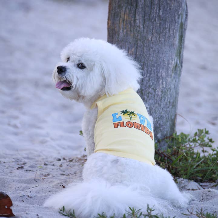 Parisian Pet® - Wholesale Pet Shirt - Dog - Love Florida Dog T-Shirt Adorable Pet Tee for Florida Lovers2