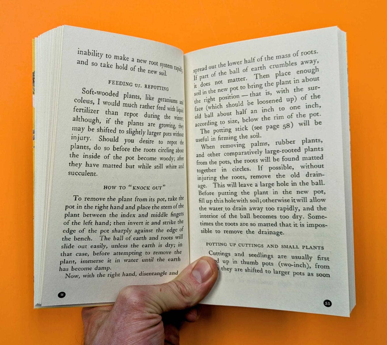 Microcosm Publishing & Distribution – Großhandel Haus & Garten – Zimmerpflanzen und wie man sie anbaut (Taschenbuch)2