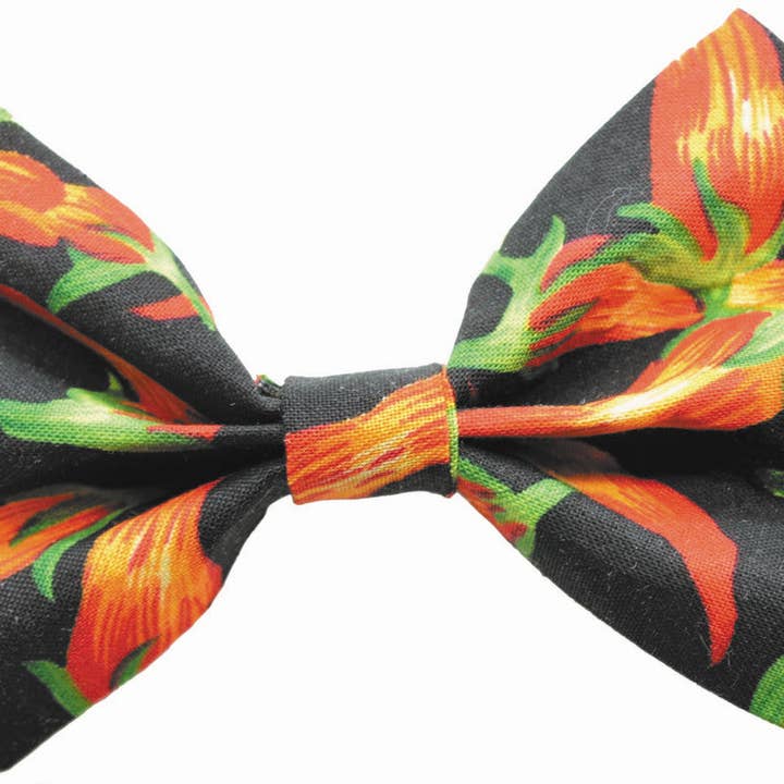 Dog Collar World - Wholesale Bow Tie - Men's - Pepper Bow