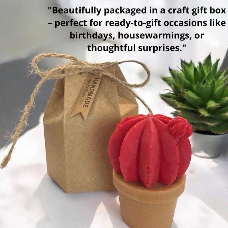 Karly’s Candles - Wholesale Novelty candle - Mini Cactus Candle: Soy Wax Succulent, Plant Lover Gift5