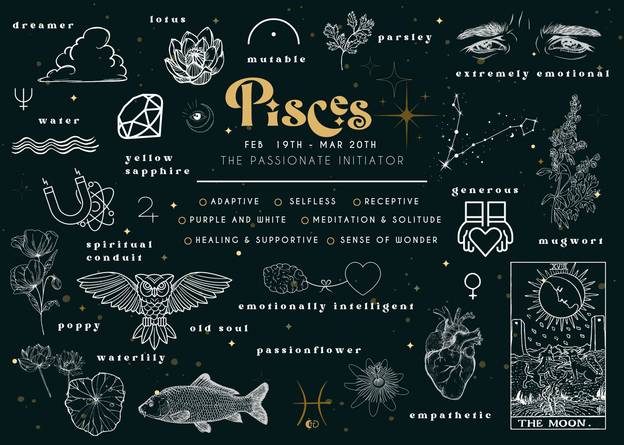 The Chaotic Good (previously The Great Cosmic Trust) - Wholesale Postcard - Astrology POSTCARDS - messages from the universe 5" x 7"8