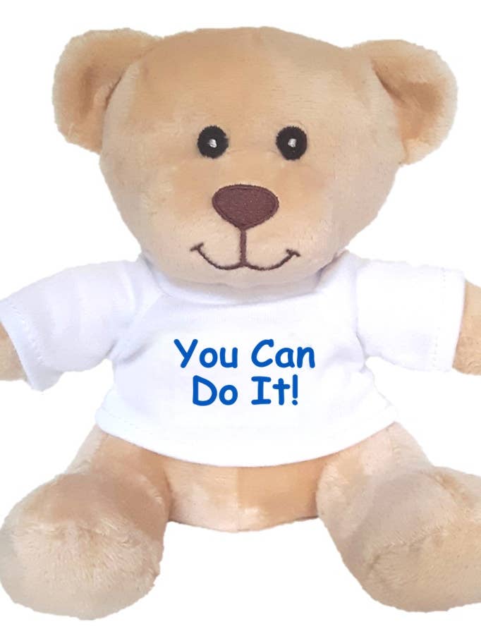 "You Can Do It!" Small & Super Cute Teddy Bear for wholesale by Hug-a-BooBoo