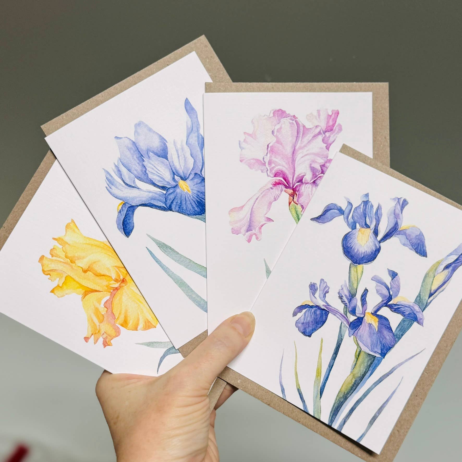 Scattered Seed Co - Wholesale Stationery/Notecard Set - IRIS greeting cards set of 4 Mini or Regular size6