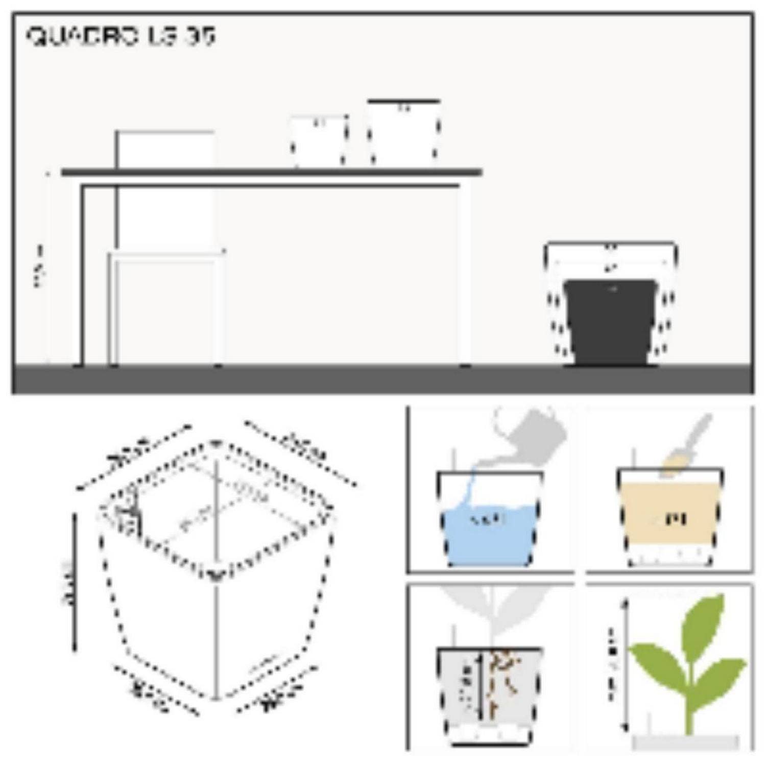 Lechuza Self Watering Planters - Vendita all'ingrosso Vasi per piante - Fioriera quadrata LECHUZA QUADRO LS Poly Resin28