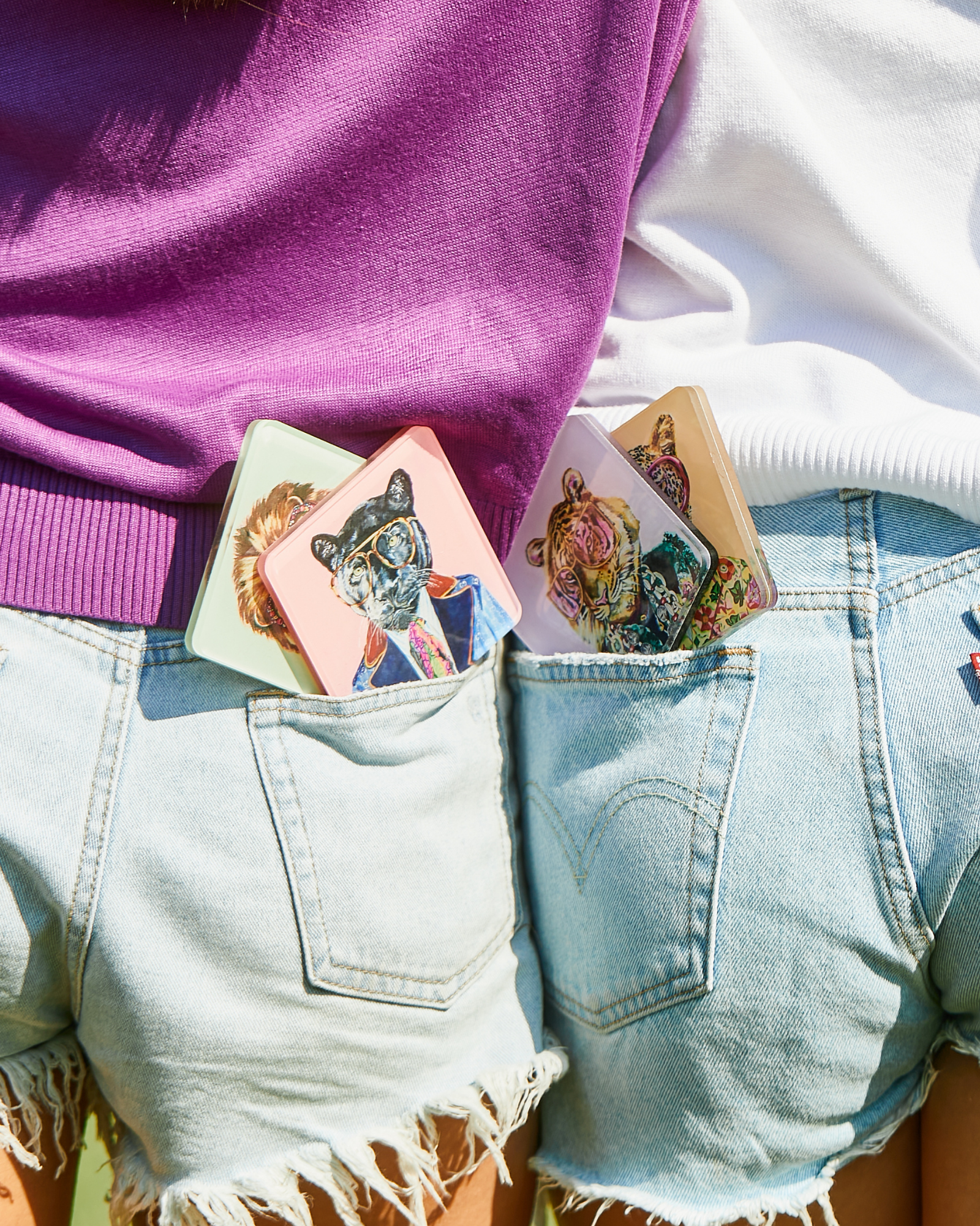 Tart By Taylor - Wholesale Coasters - Big Cats (Set of 4) Coasters3