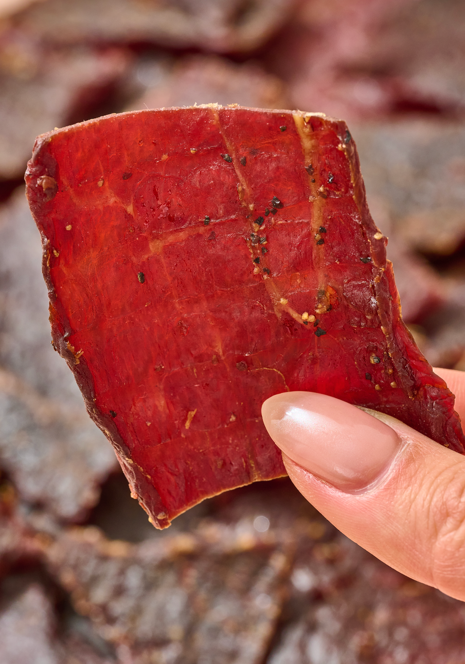 Strip Jerky - Wholesale Jerky - Strip Jerky5