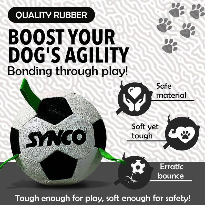 GICO Spielwaren - Vendita all'ingrosso Palla da riporto  - Cani - Palla per cani con maniglie per cani di taglia media e grande #42