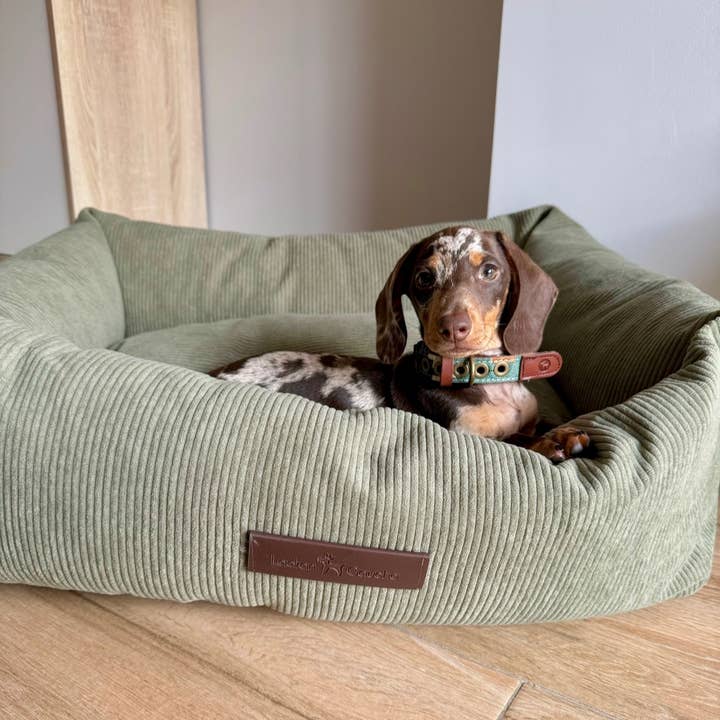 Ladran Gaucho - Wholesale Pet Bed - Dog - Pradera corduroy bed cover