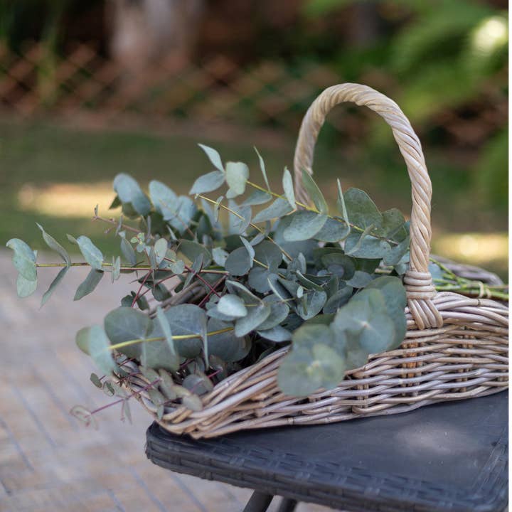 Basketly - Wholesale Basket - Garden Trug Basket