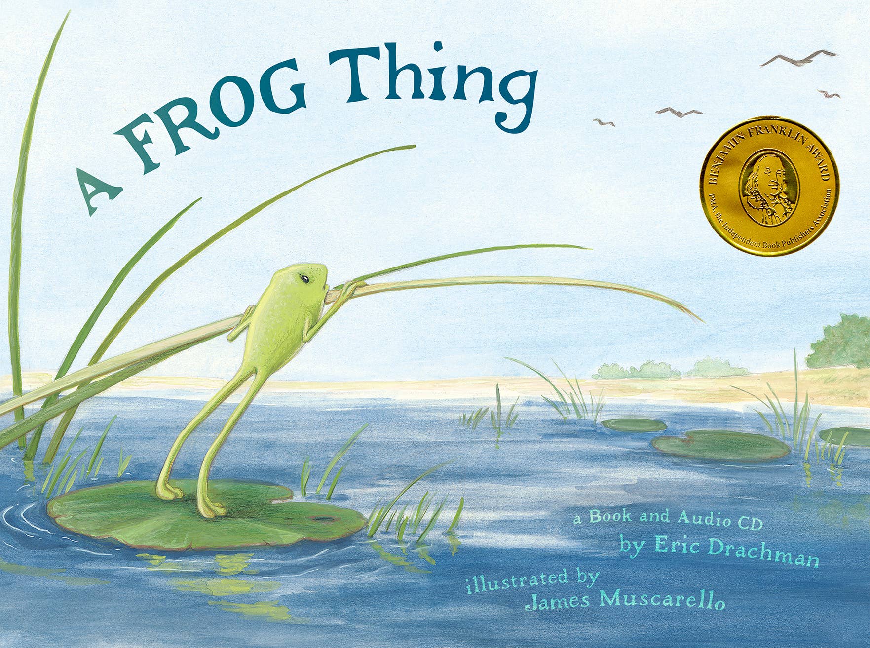 REMOVED BRAND - Wholesale Preschool Book (3-5) - A Frog Thing0