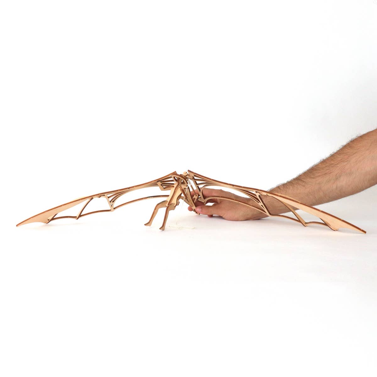 Dahimo - Wholesale DIY Craft Kit - Da Vinci Medium Suspended Ornithopter-Func. Wooden Model Kit4