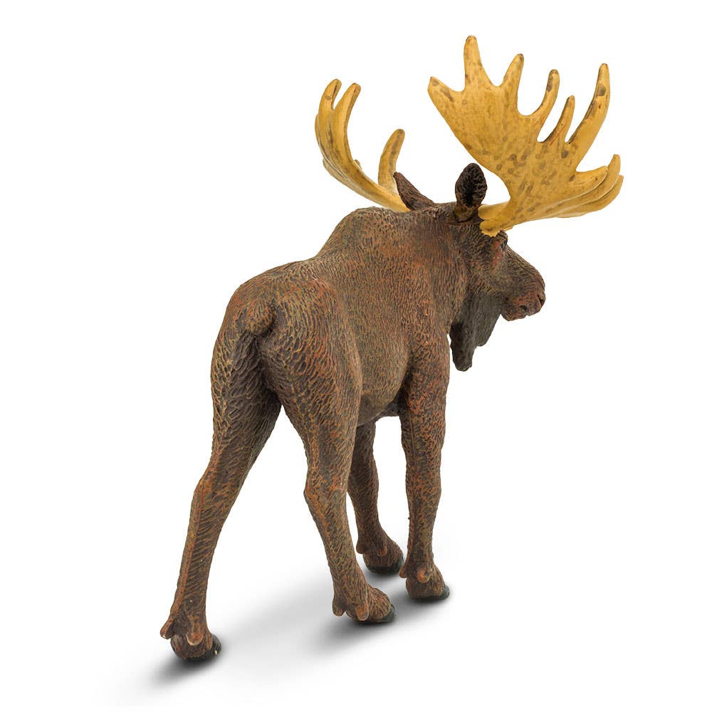 Safari Ltd. - Wholesale Decorative Figurine - Moose - 2900293