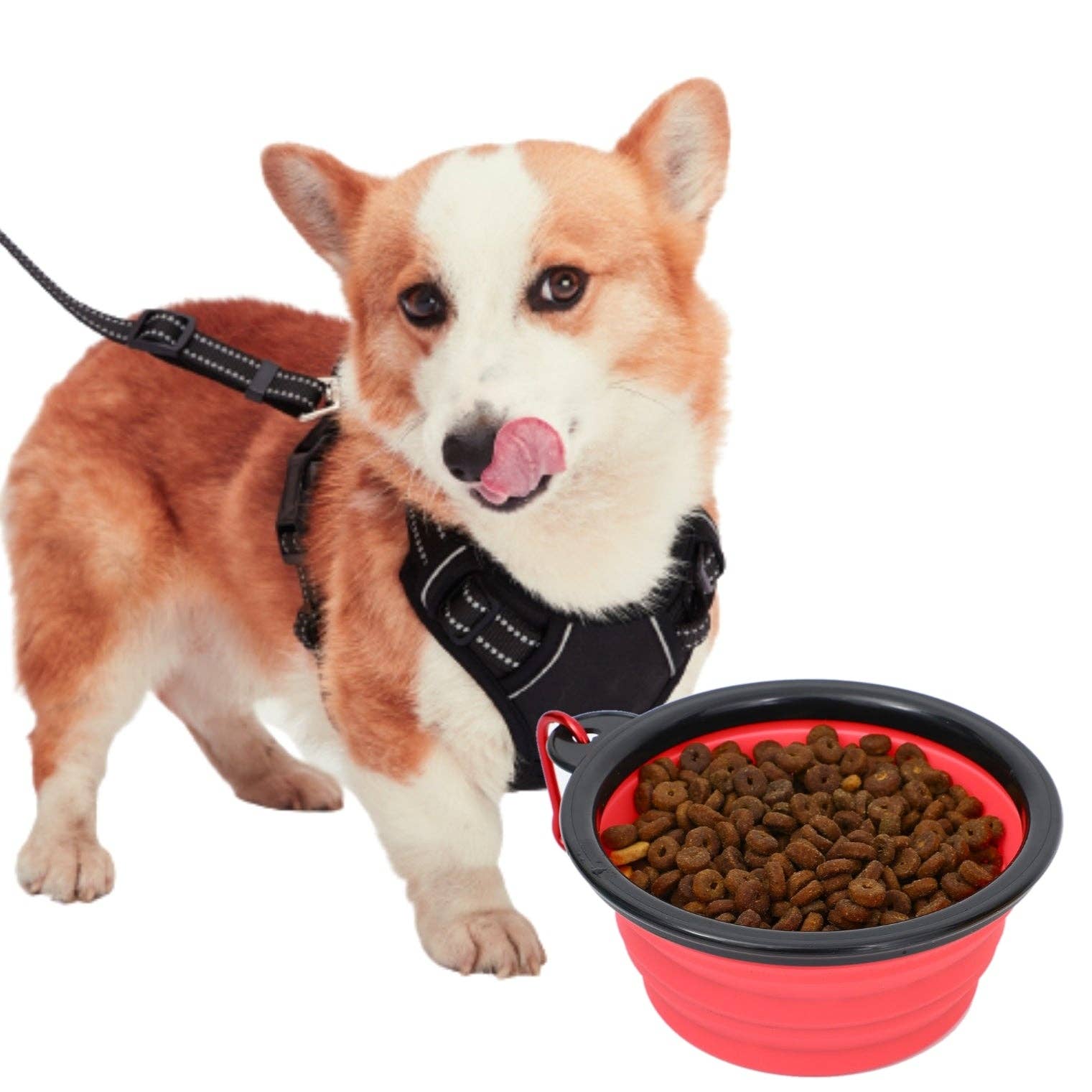 Mr. Peanut's - Wholesale Pet Bowl - Cat/Dog - Collapsible Silicone Travel Bowls - 12oz11